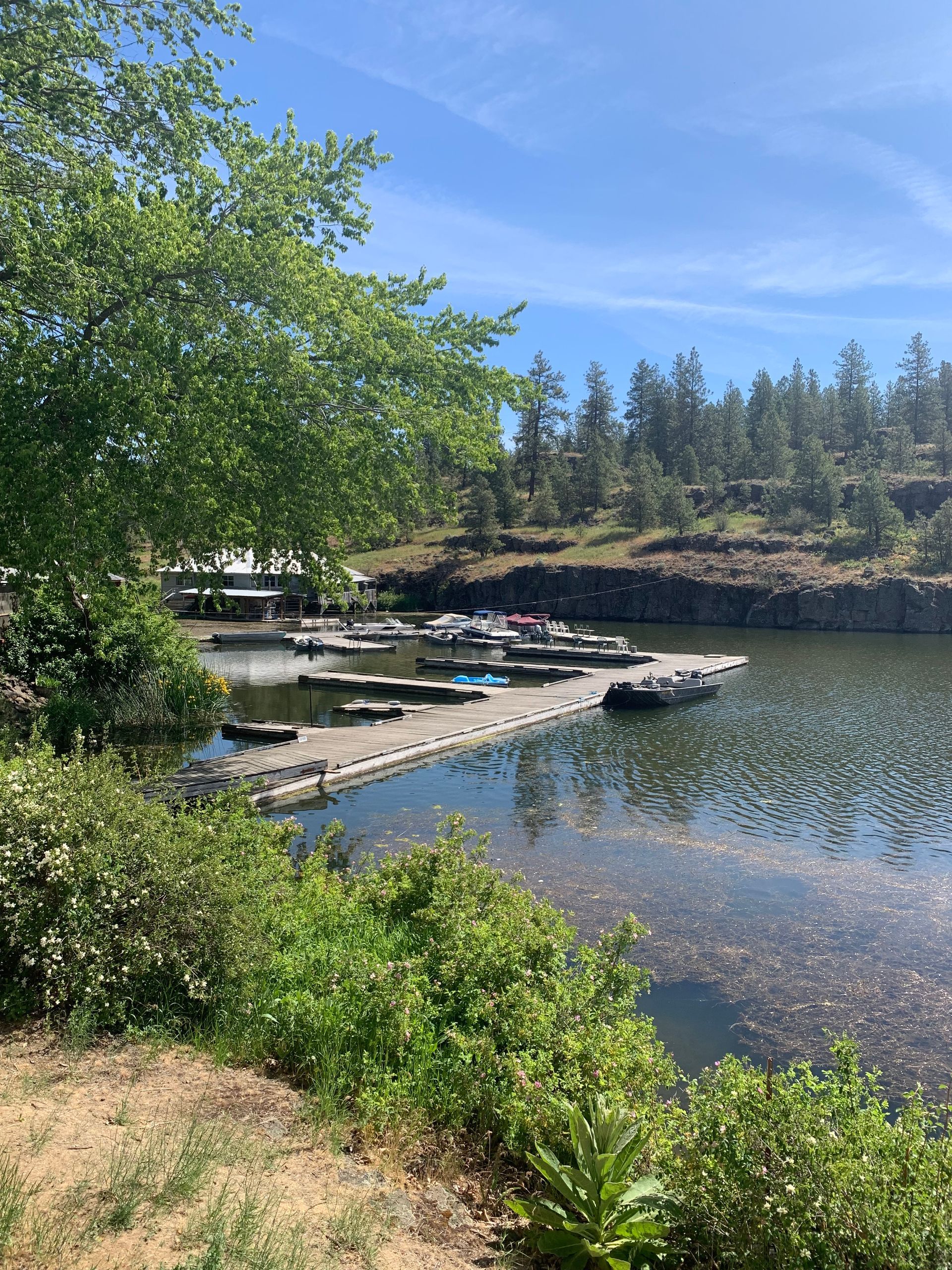 Dock with boats on a lake, surrounded by trees and greenery under a blue sky.