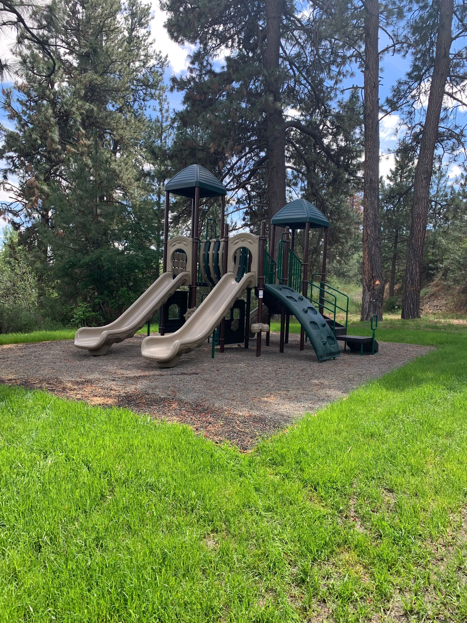 Playground with two slides, climbing steps, and platforms, set in a grassy area with trees.