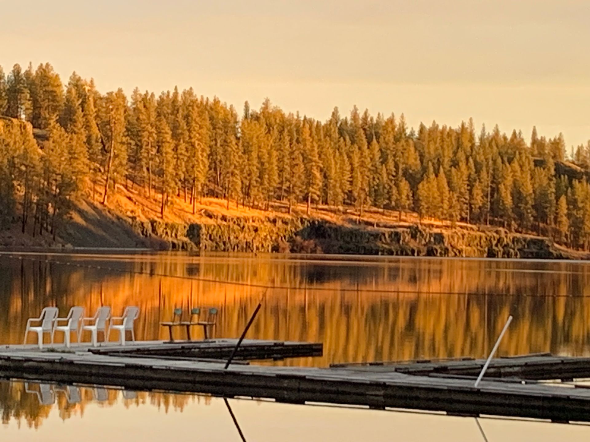 Dock with white chairs, calm water reflecting trees and a golden sunset.