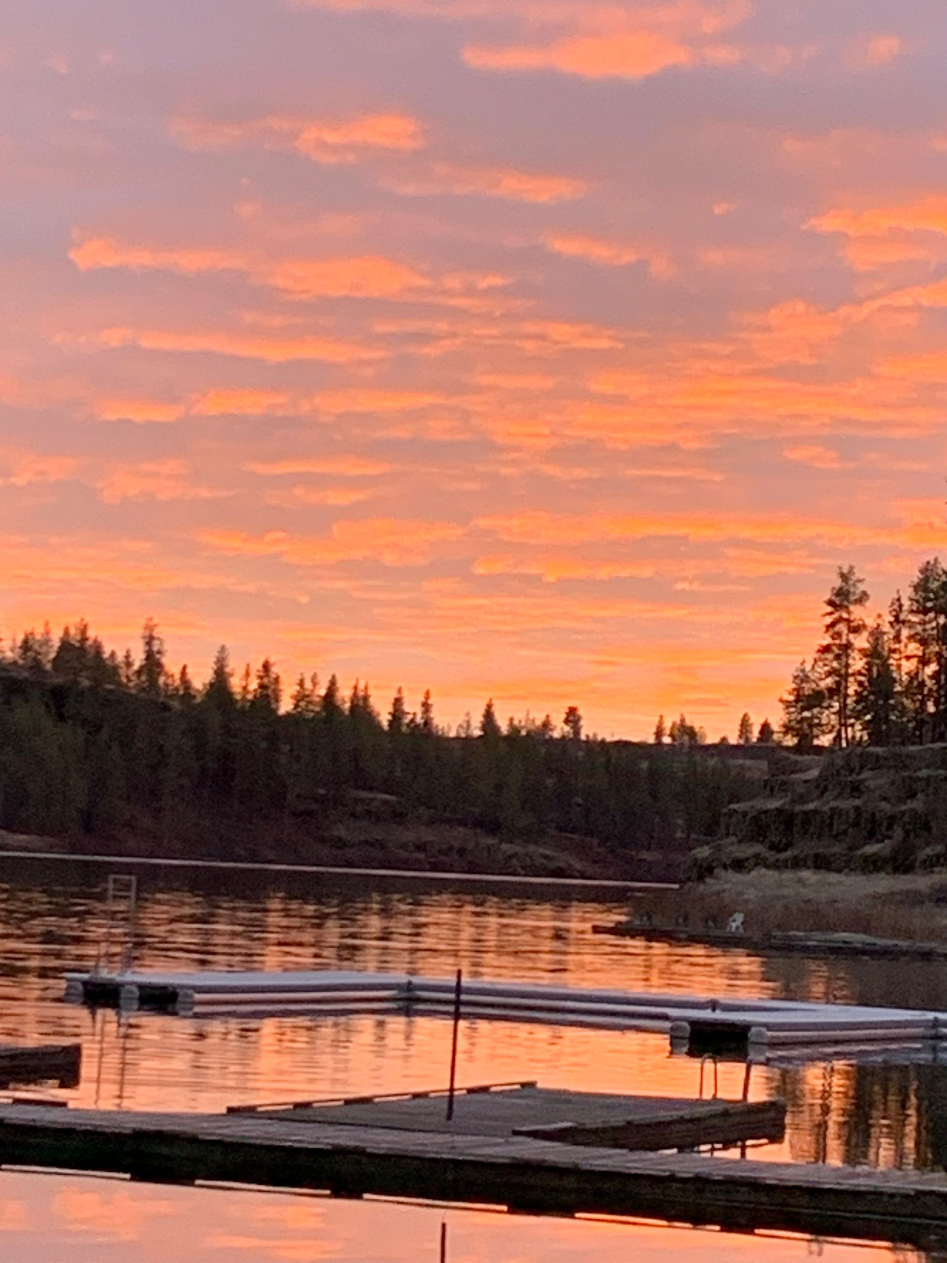 Sunset over a calm lake with a dock and silhouetted pine trees under pink-orange clouds