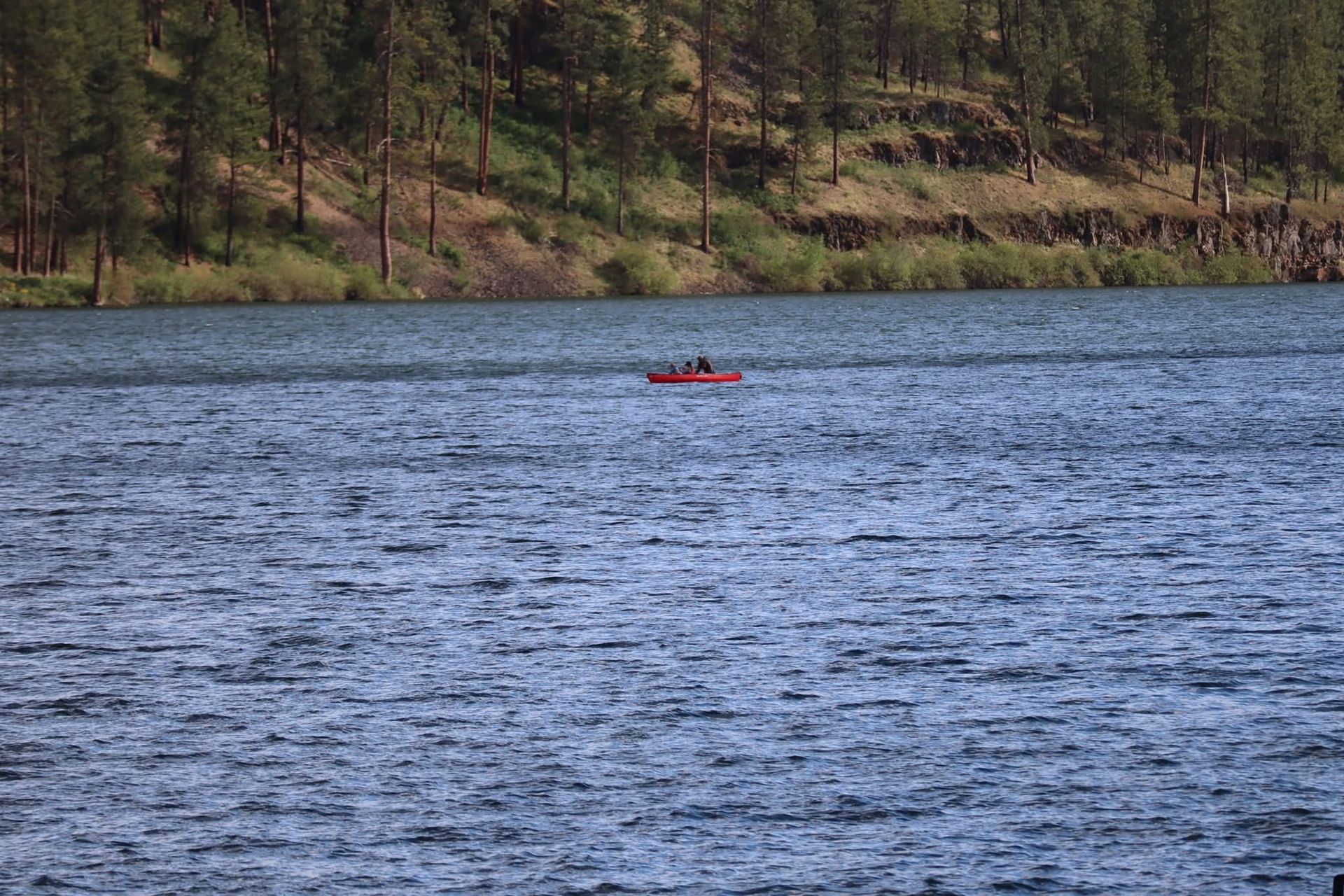 Kayakers on a lake, with forested shoreline. Blue water, overcast sky.