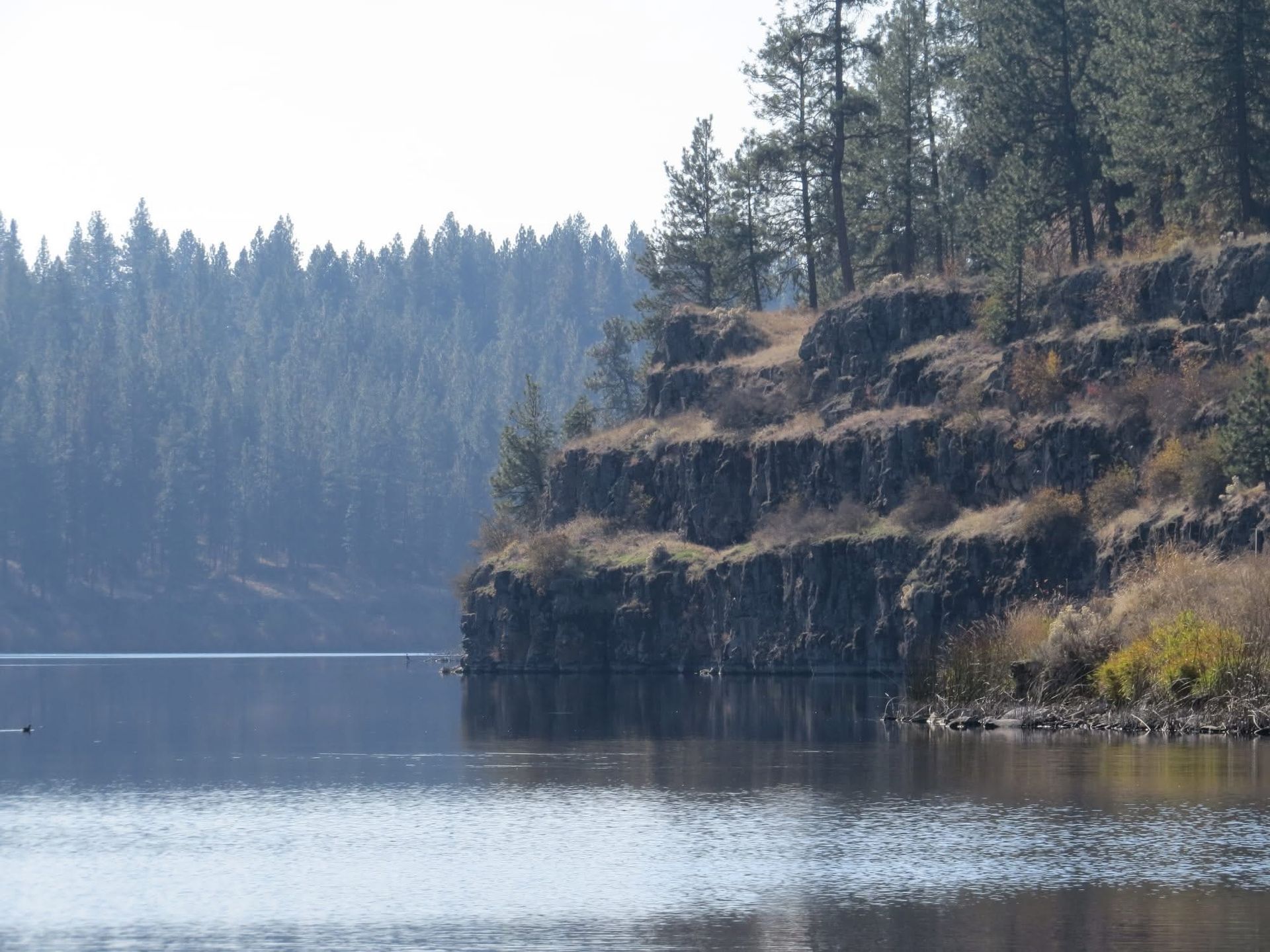 Lake scene with layered rocky cliffs and trees on the right, forested shoreline in the background.