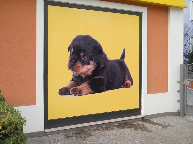 Un cucciolo nero su un murale giallo accanto all'ingresso di un edificio.