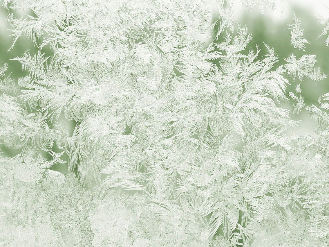 Primo piano di cristalli di brina bianca che ricoprono una superficie verde pallido