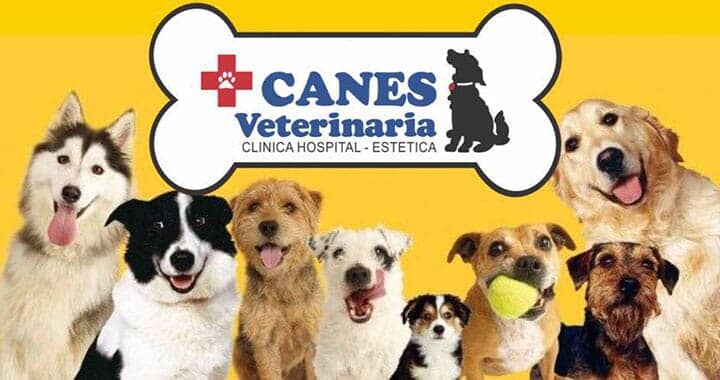 CANES VETERINARIA - Atención 24 Horas CANES VETERINARIA - Atención 24 Horas