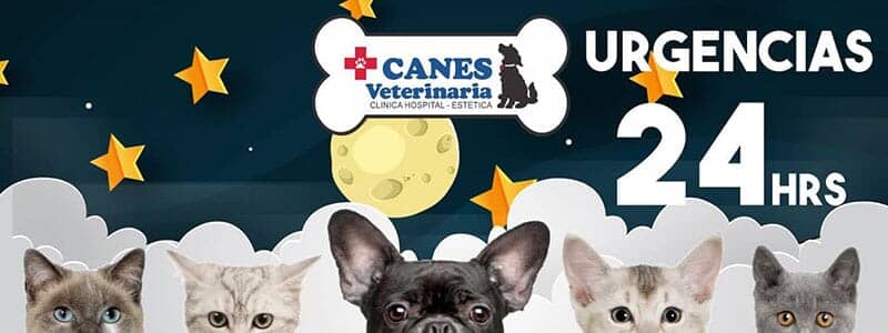 CANES VETERINARIA - Urgencias 24 horas CANES VETERINARIA - Urgencias 24 horas