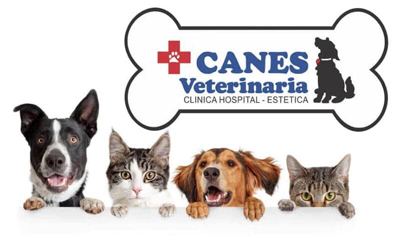 CANES VETERINARIA - Clínica para mascotas CANES VETERINARIA - Clínica para mascotas