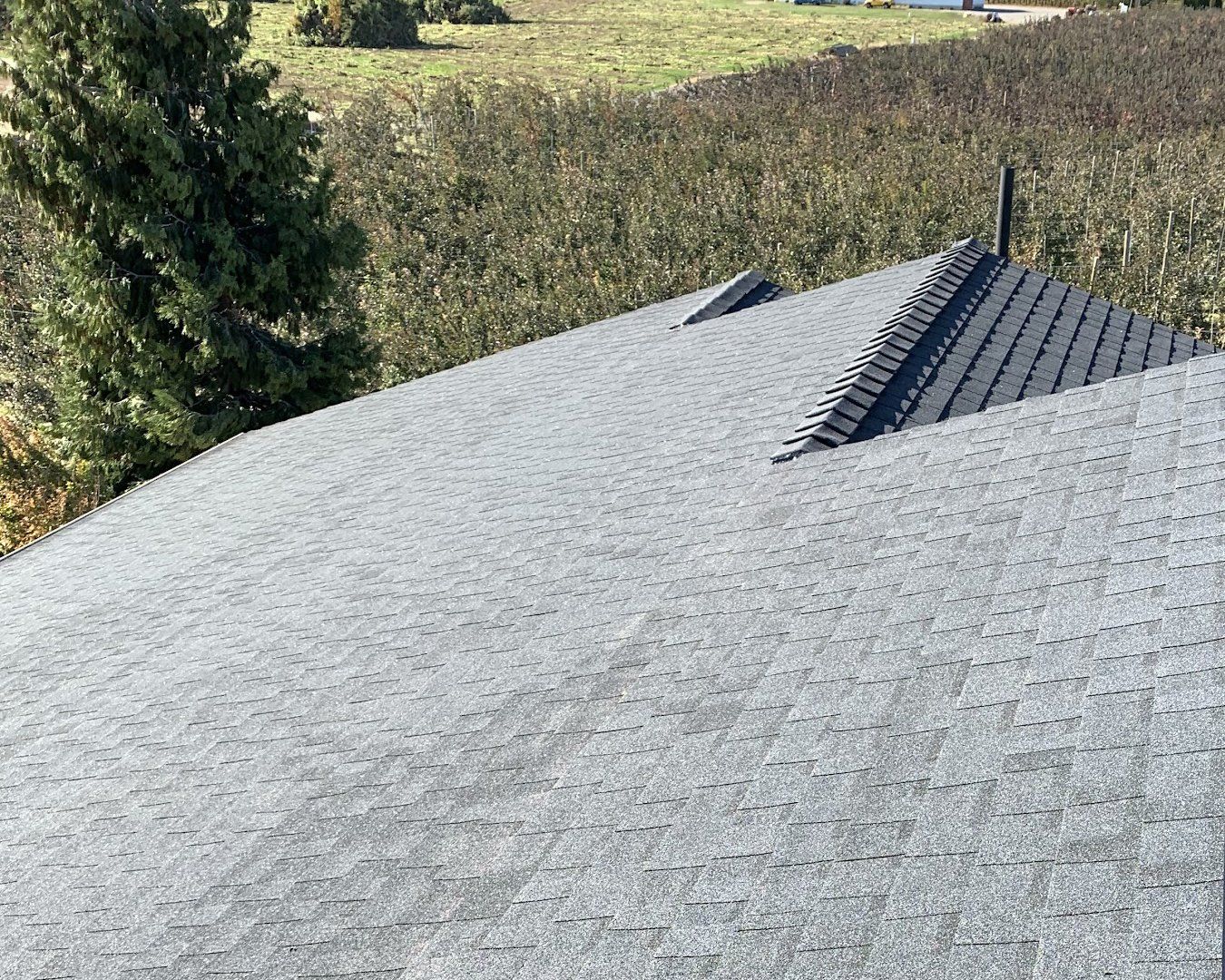 Asphalt Shingle Roof Wenatchee