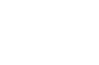 Chelmsford Logo