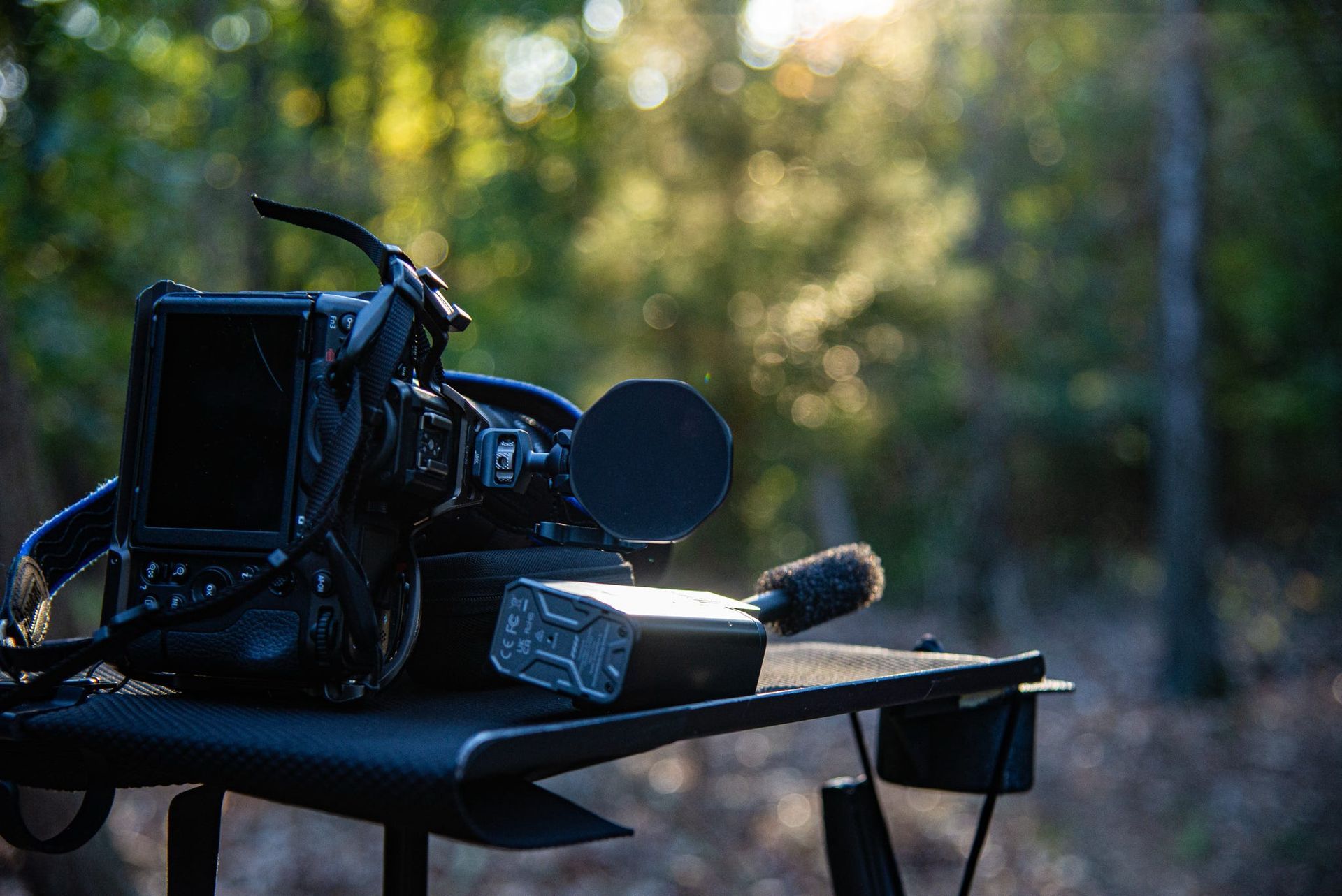 Studio in the Woods image