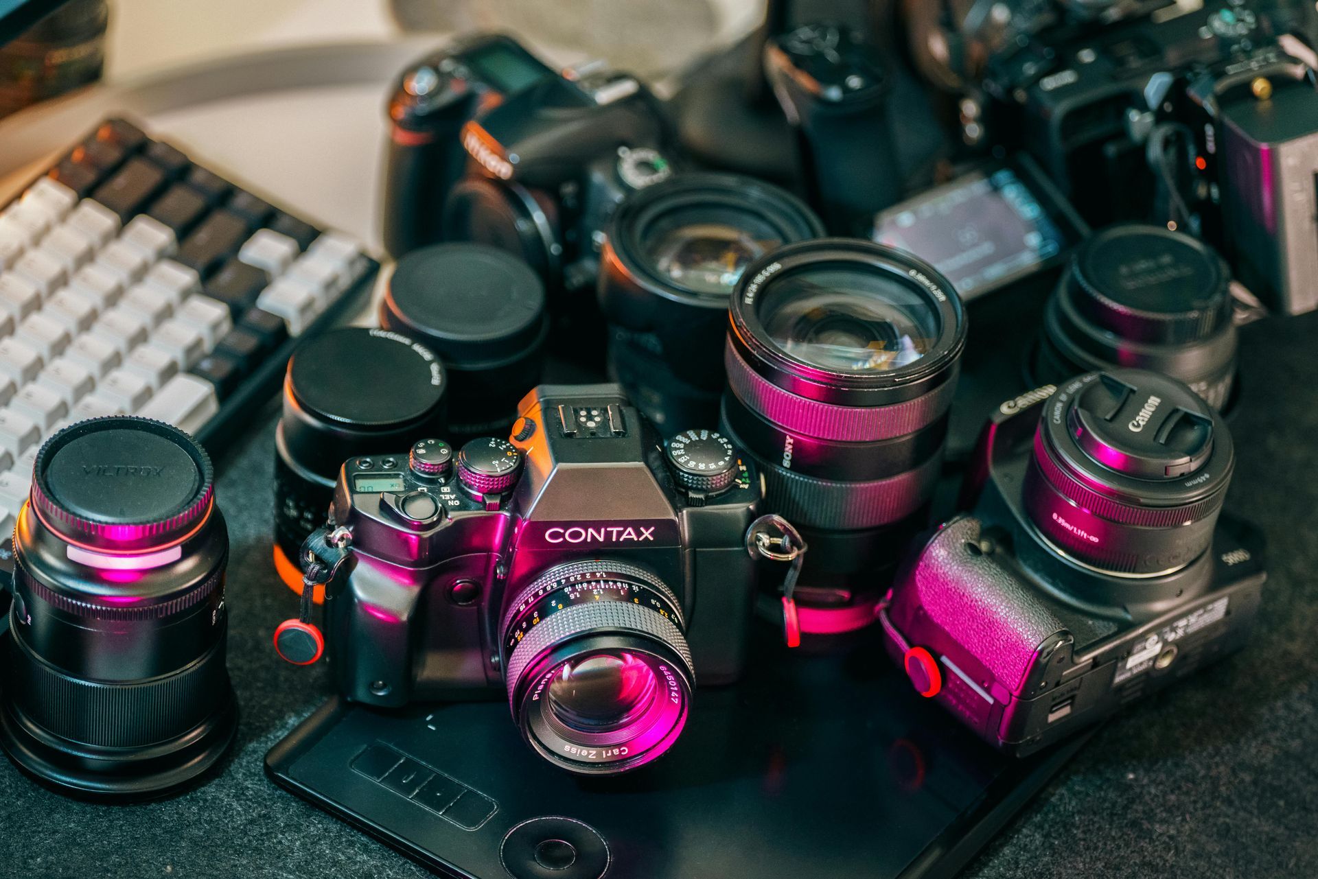 Professional Photography image