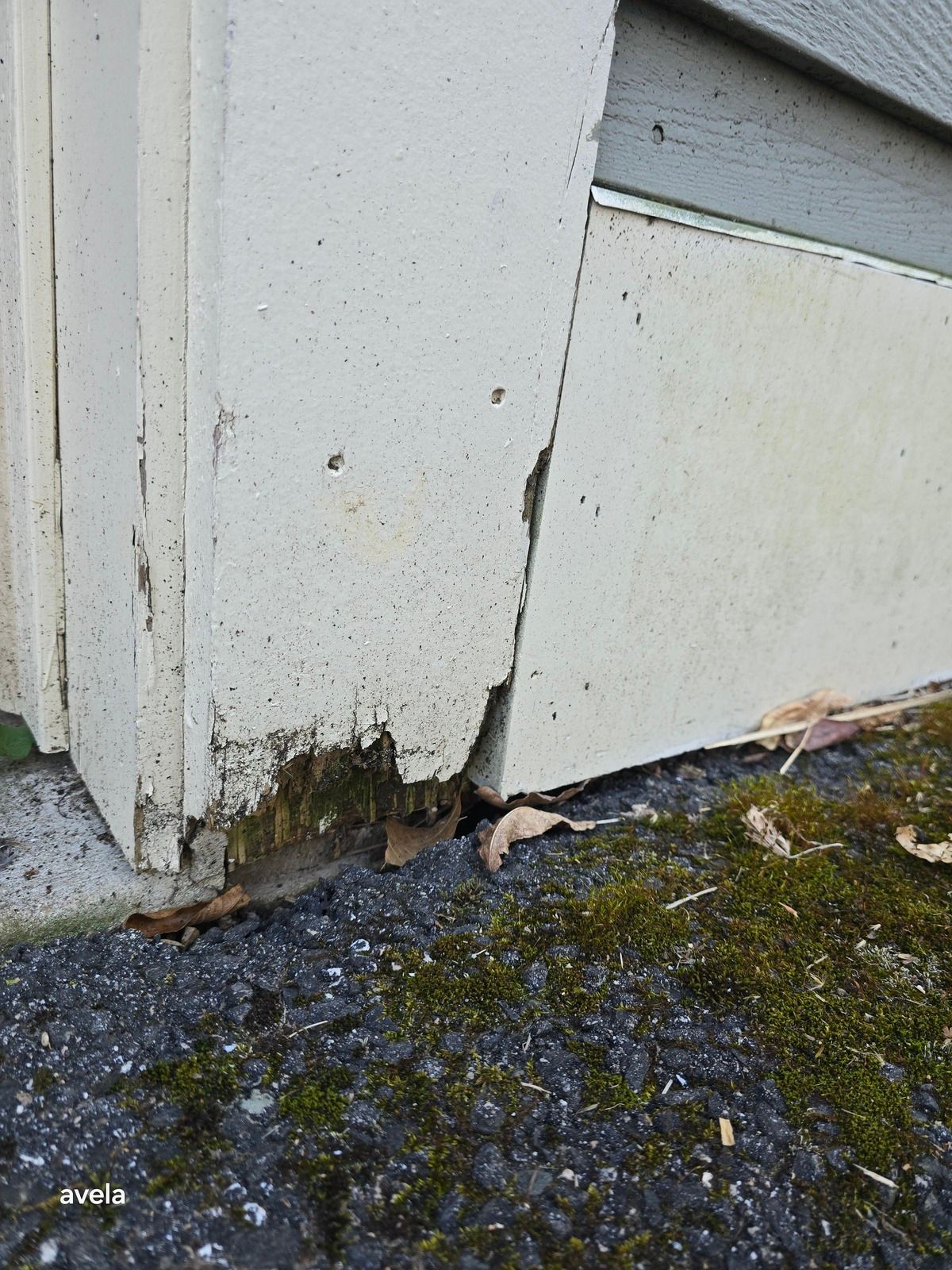 Rot Repair 2