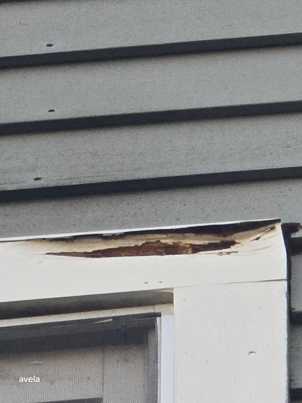 Rot Repair 3
