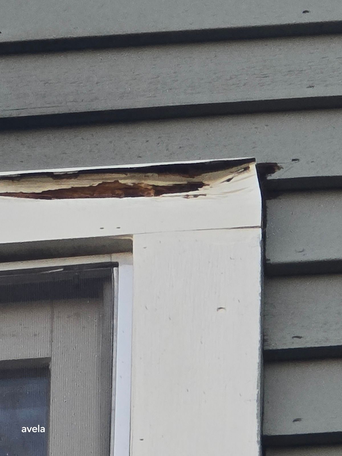 Rot Repair 5