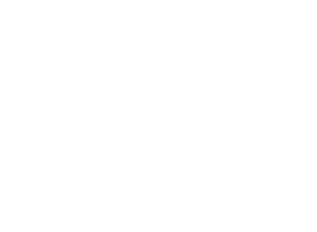 Handyman Services