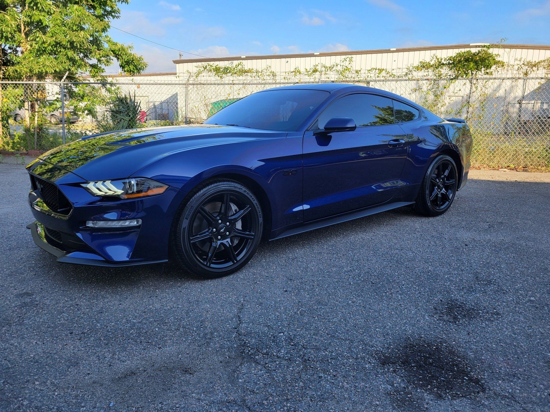 Blue Ford Mustang parked on a paved surface, black wheels, against a building on a sunny day.