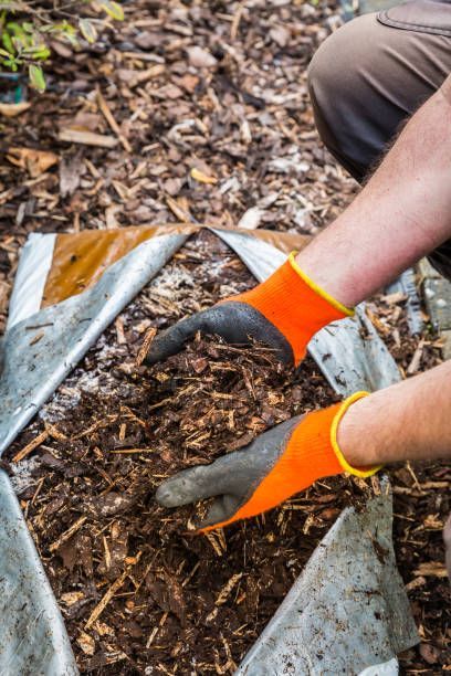 Hands wearing orange gloves scooping mulch in a garden bed.