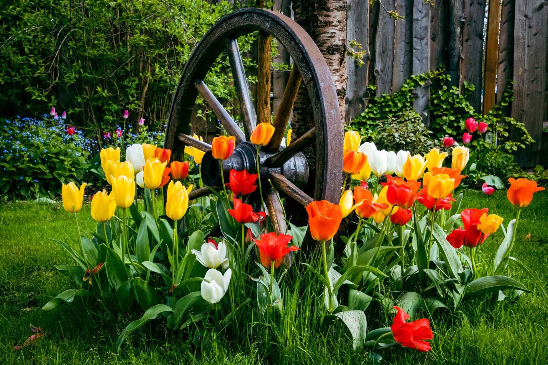 Plants — Troy, NY — Dobert’s Landscaping LLC