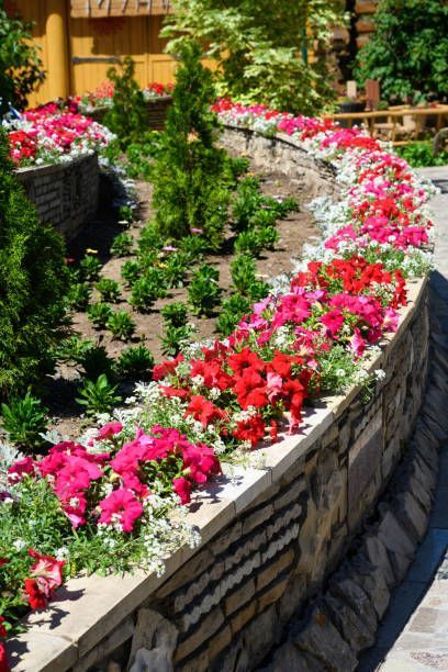 Stone-walled flower bed filled with vibrant red and pink petunias. Lush green plants surround the flowers.