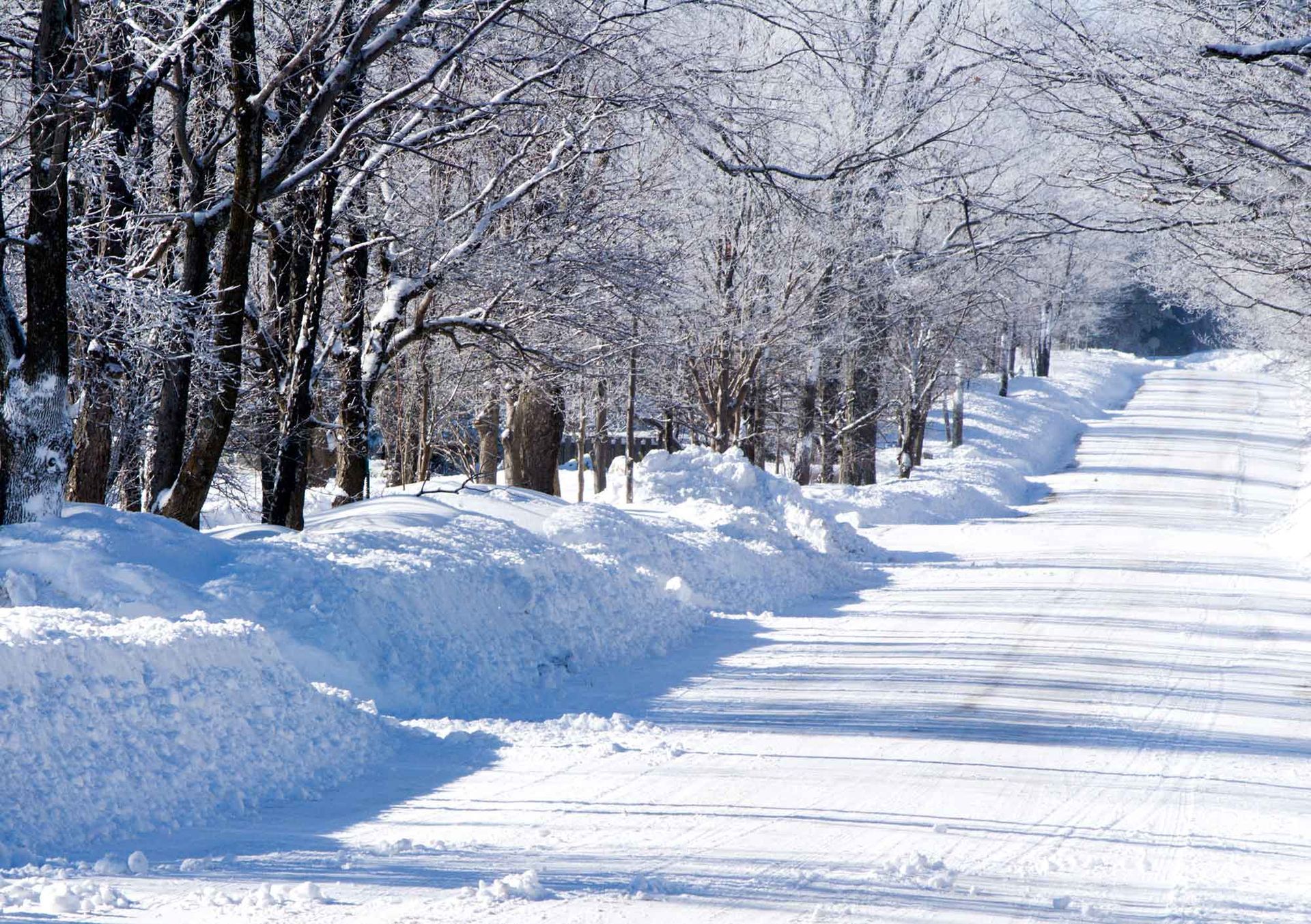 Snowy road lined with trees, with large snow banks on the side on a sunny day.