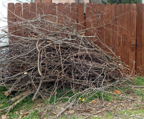 Pile of tree branches in front of a brown wooden fence on a grassy area.