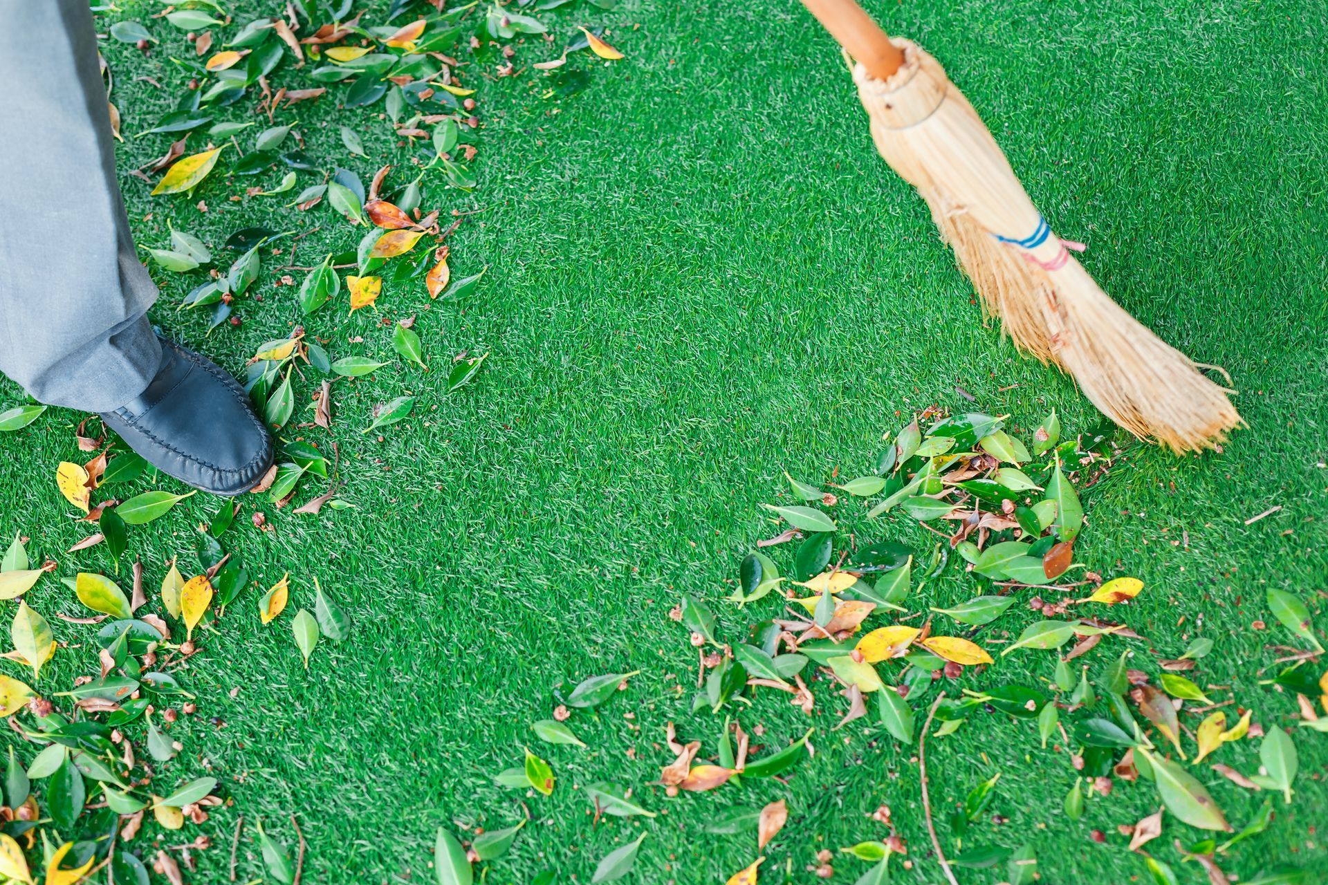Person sweeping leaves from green turf.