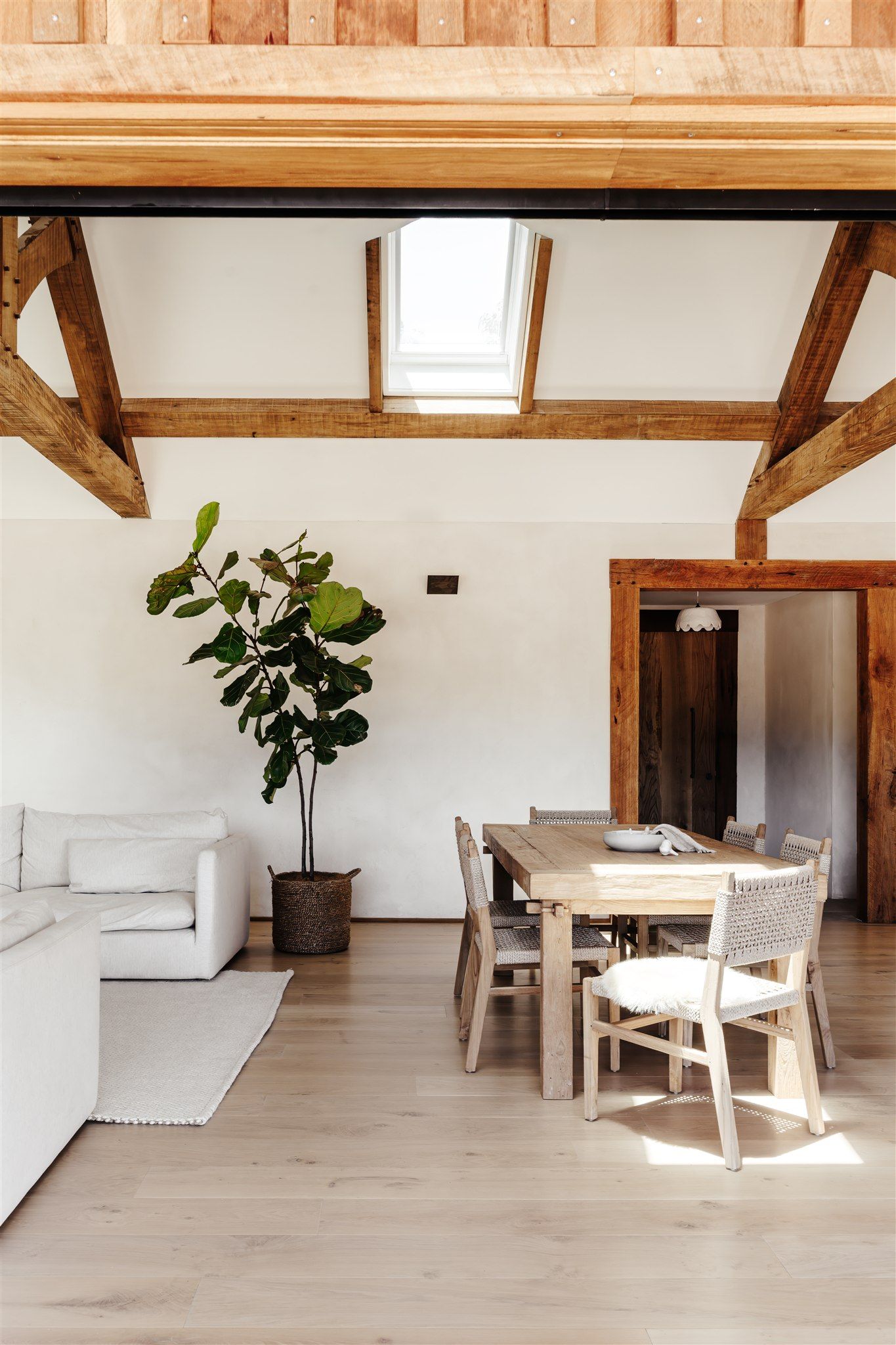 A bright, airy living and dining room with white walls, exposed wooden beams, a tall potted plant, and light wood floors.