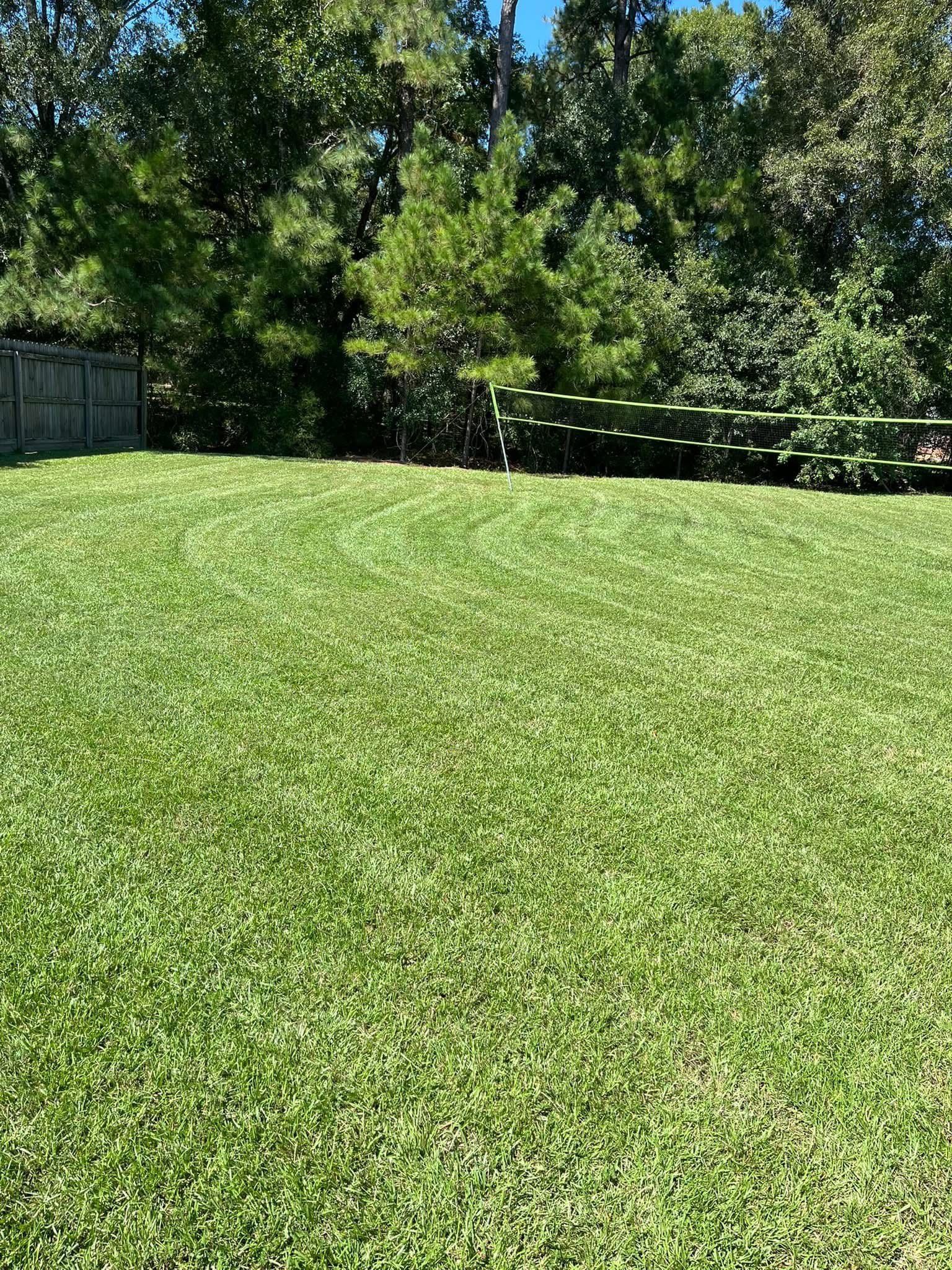 A lush green lawn with a fence and trees in the background.