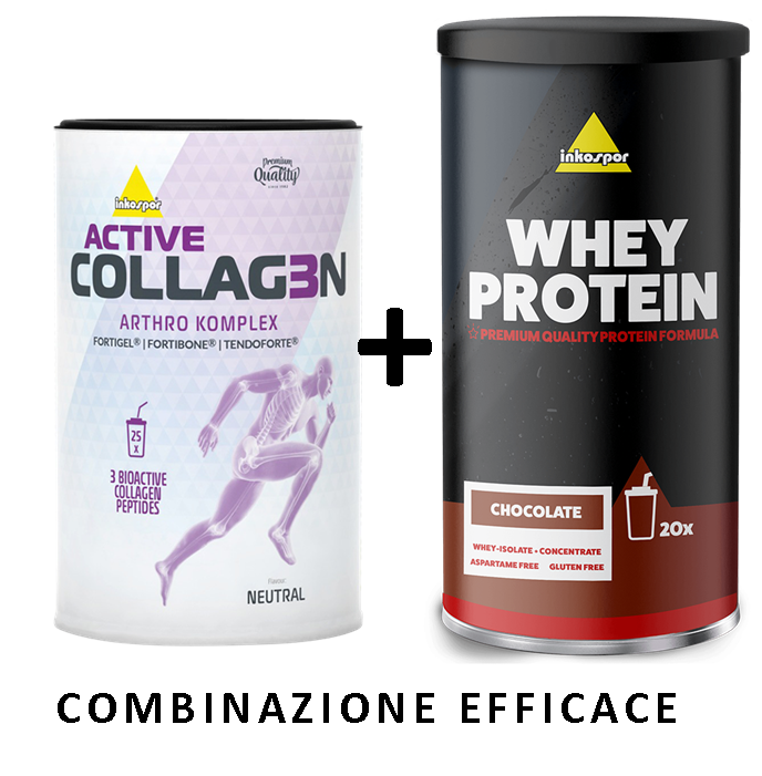 Active Collagen Arthro Komplex + Whey Protein 600 g