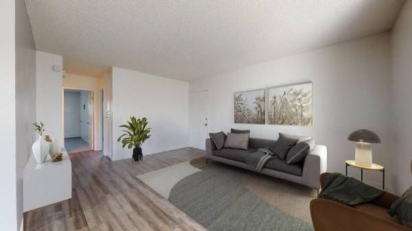 Bright minimalist living room with gray sofa, round rug, wood floors, and wall art.