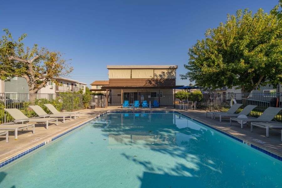 Outdoor swimming pool with lounge chairs, trees, and a clubhouse under a clear blue sky