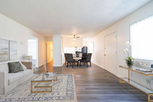 Bright living room with white sofa, patterned rug, wood floors, dining area, and large windows.