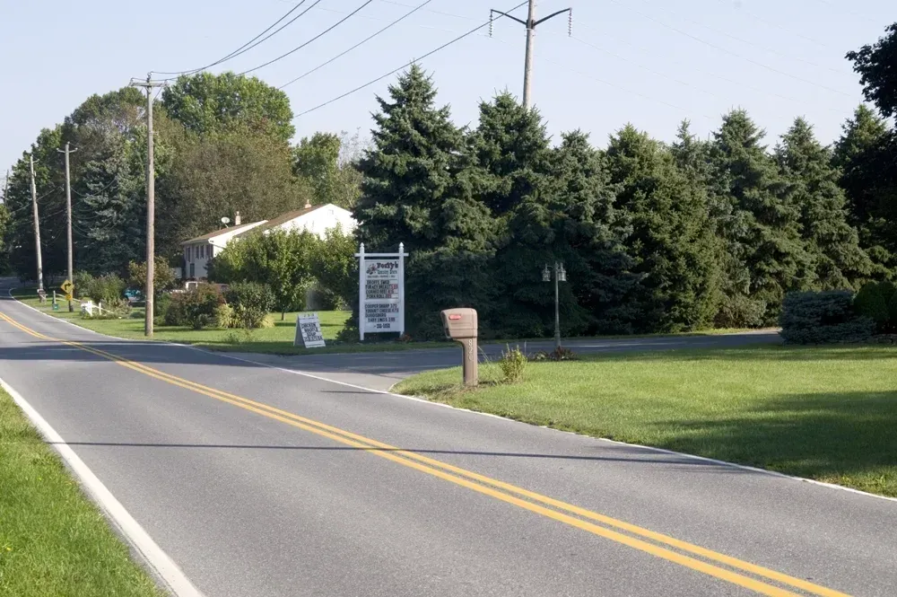 A paved road with a yellow double centerline leads past a white sign, a mailbox, and evergreen trees on a sunny day.