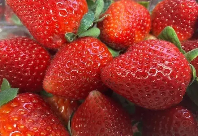 A close-up view of several ripe, vibrant red strawberries bunched together with green leaves.