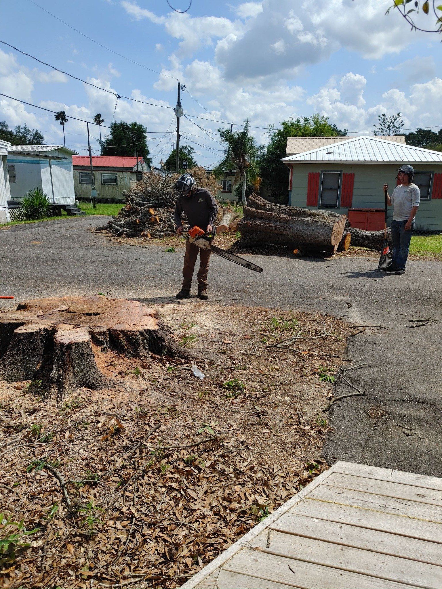 Stump Grinding | Lakeland, FL | IronHead Tree Service