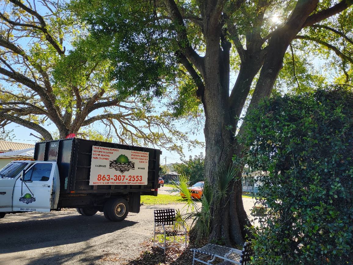 Property FAQ | Land O Lakes, FL | Treemasters Inc