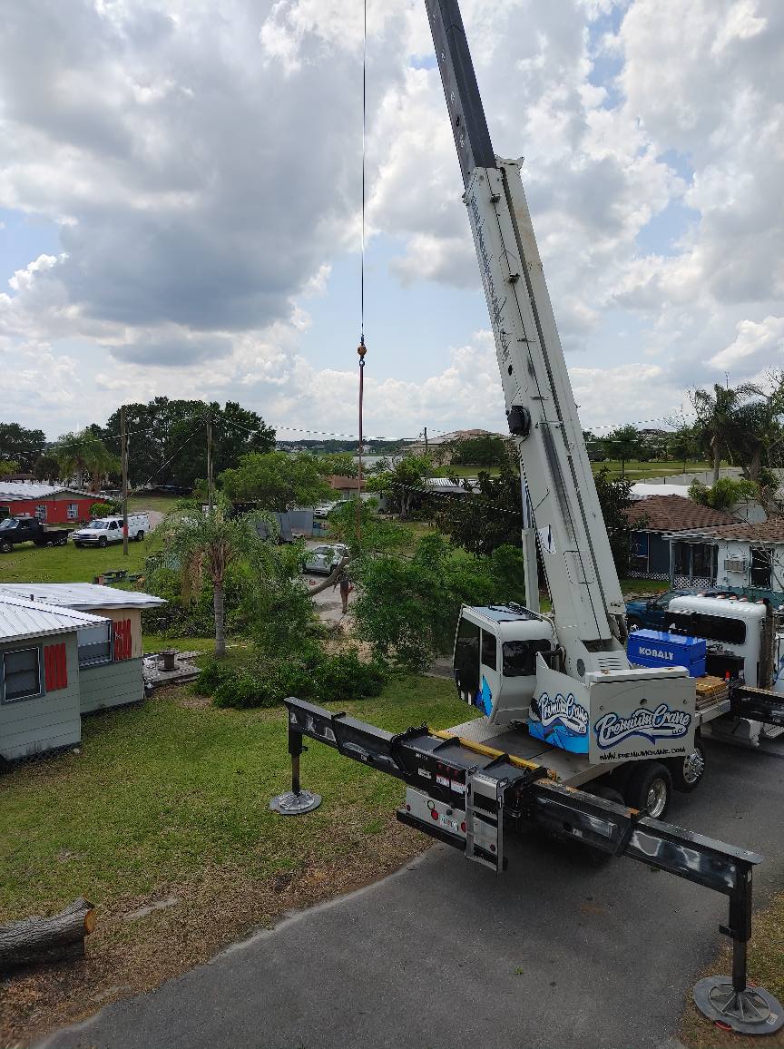 Residential Tree Removal | Lakeland, FL | IronHead Tree Service
