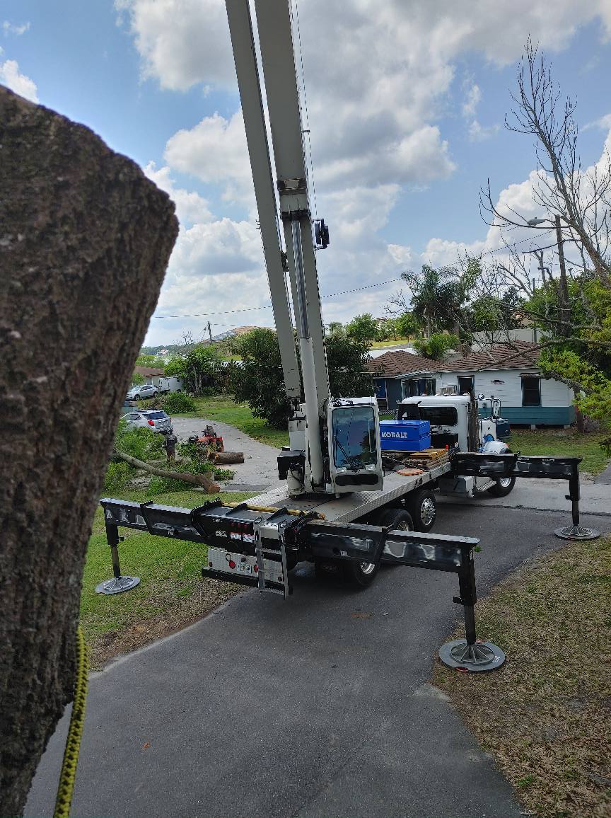 A utility truck with extending arm, set up on a paved road, in a residential area.