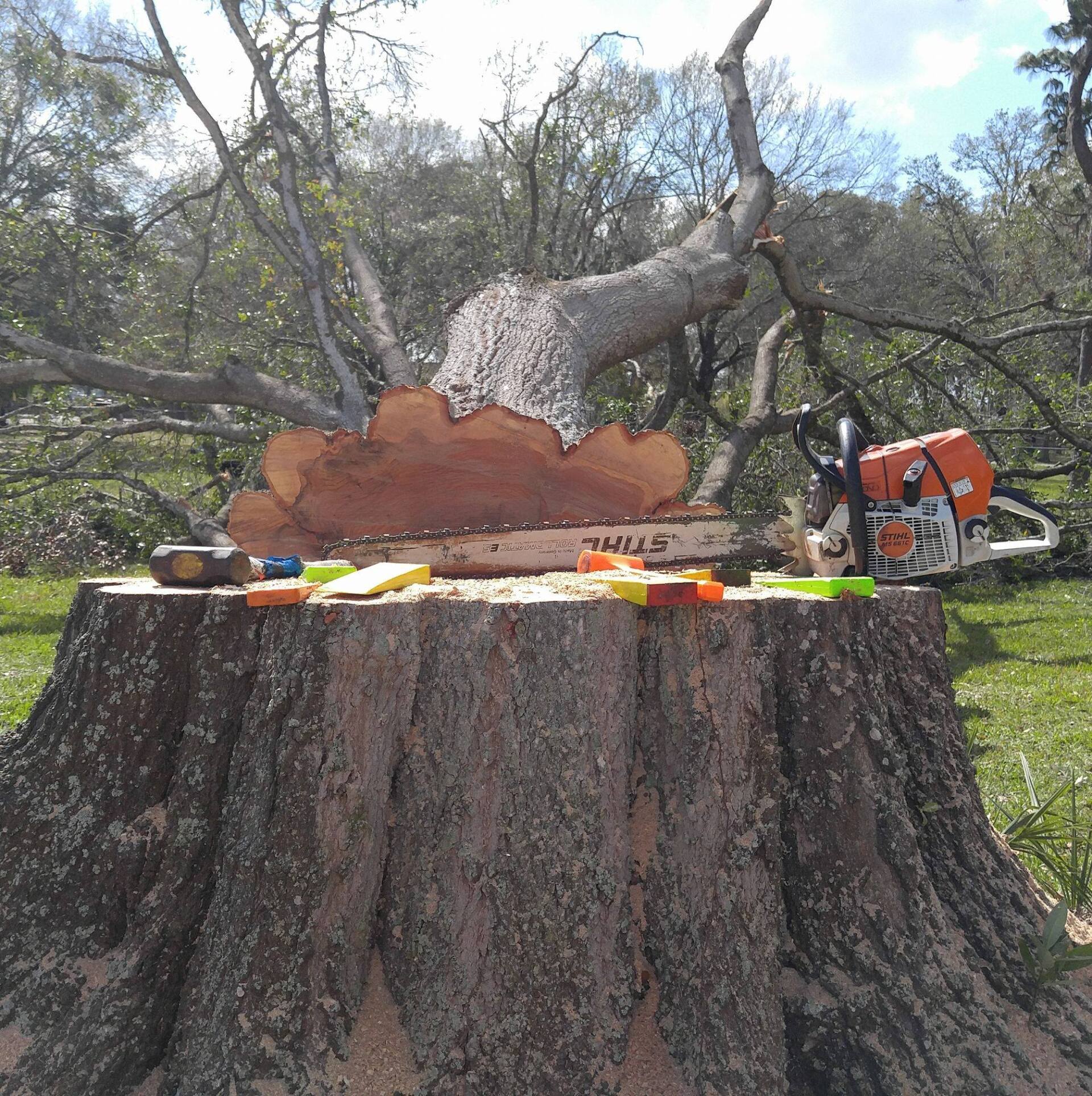 Stump Grinding | Lakeland, FL | IronHead Tree Service