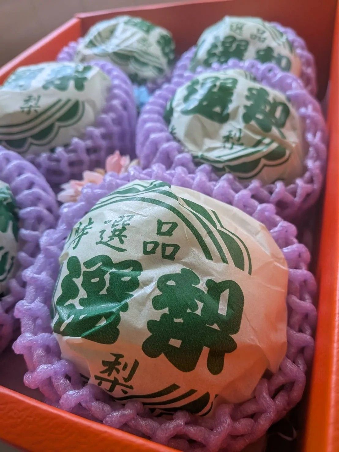免運!【泰德選物】台灣之光《寶島甘露梨》開採囉
