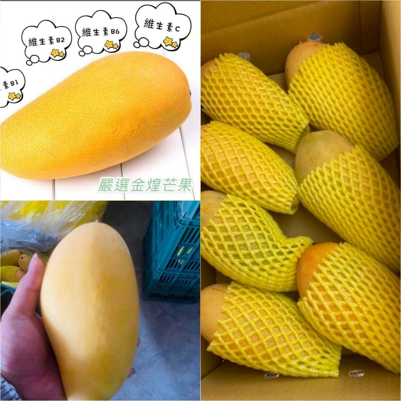 免運!【泰德選物】☀️☀️夏日芒果季開跑啦《嚴選金煌芒果》