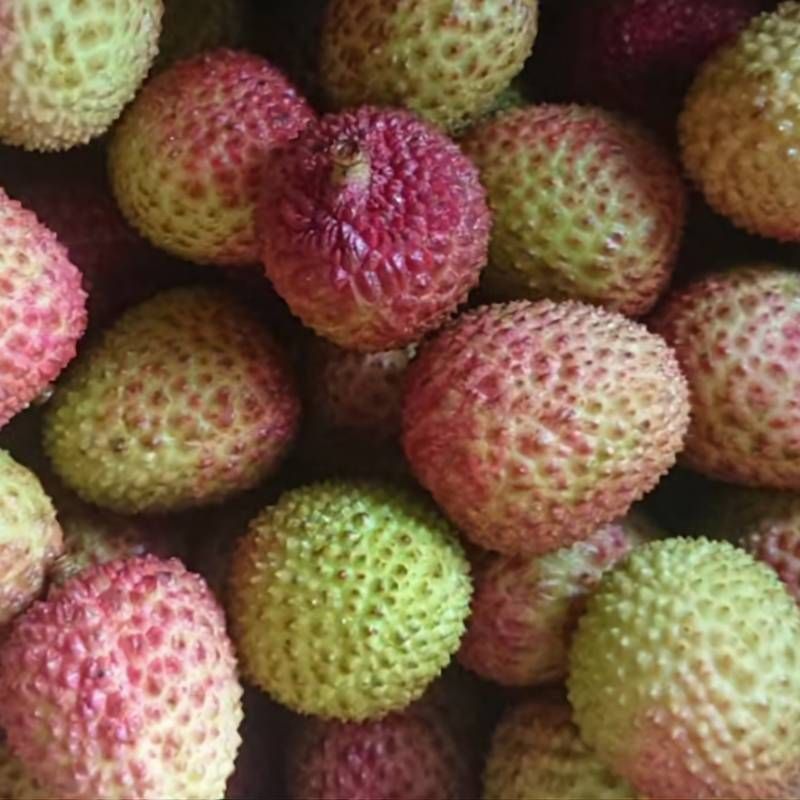 免運!【泰德選物】☀️☀️大樹鄉特產《玉荷包》預購