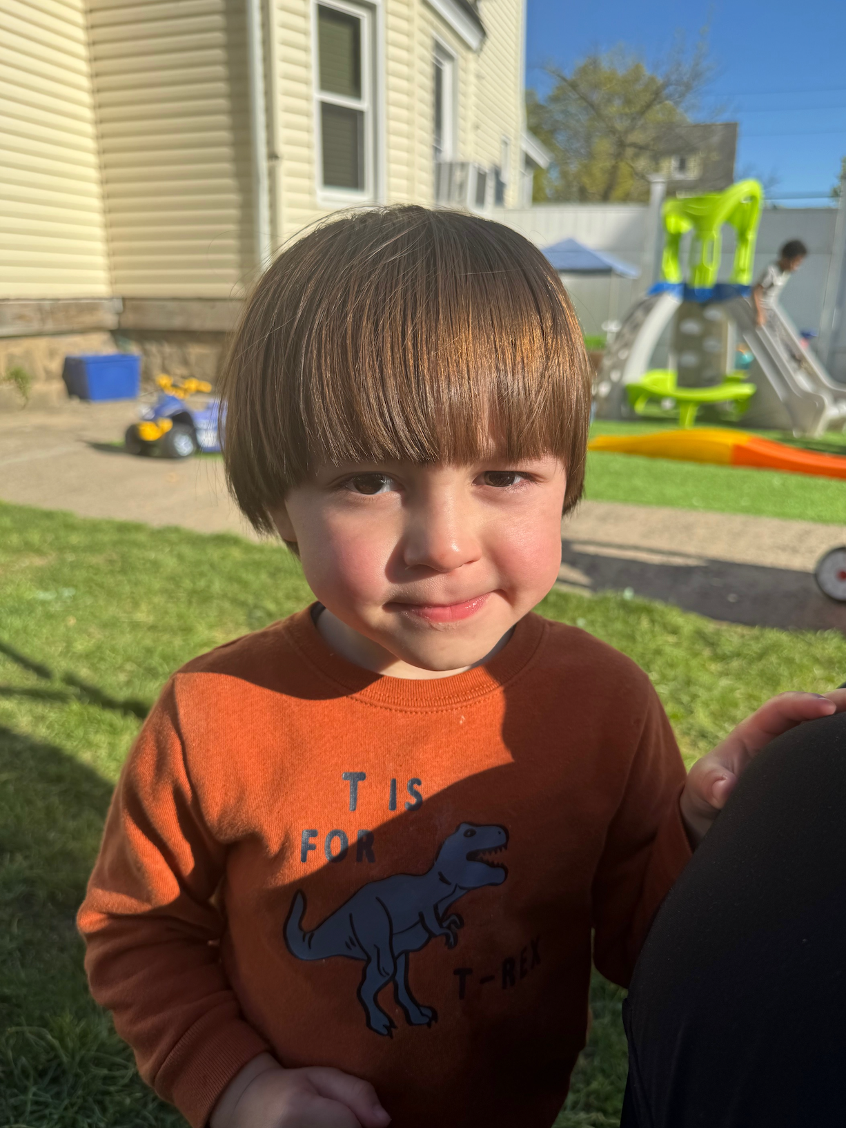 A little boy wearing an orange shirt with a dinosaur on it is standing in the grass.
