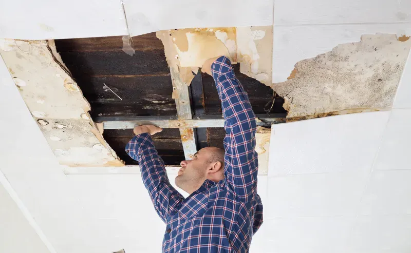 wet drywall dry out