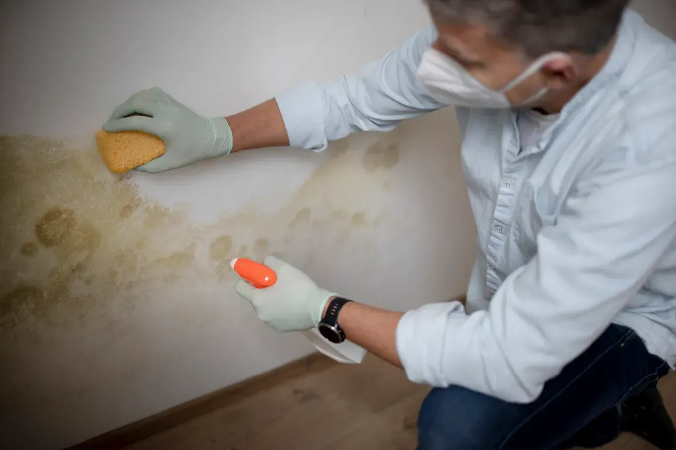 Man cleaning mold on a wall, wearing gloves and a mask, orange spray bottle and sponge in hand.