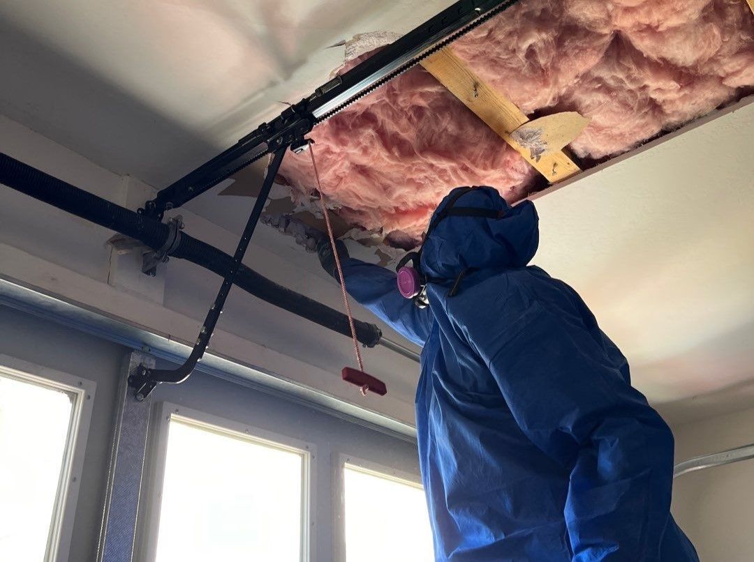 mold remediation technician