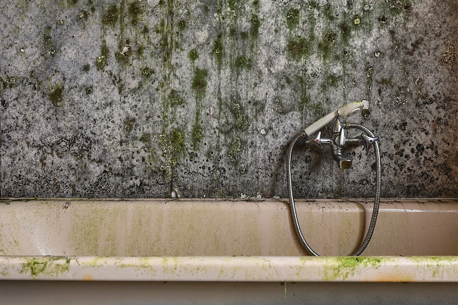 moldy wall