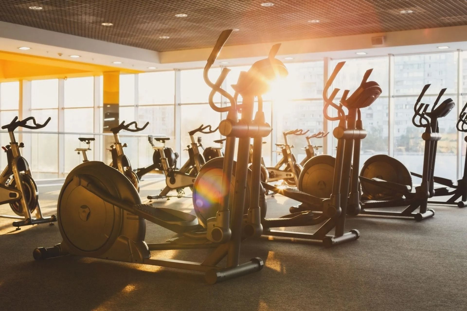 Sunlit gym with rows of stationary bikes and ellipticals in an empty workout room