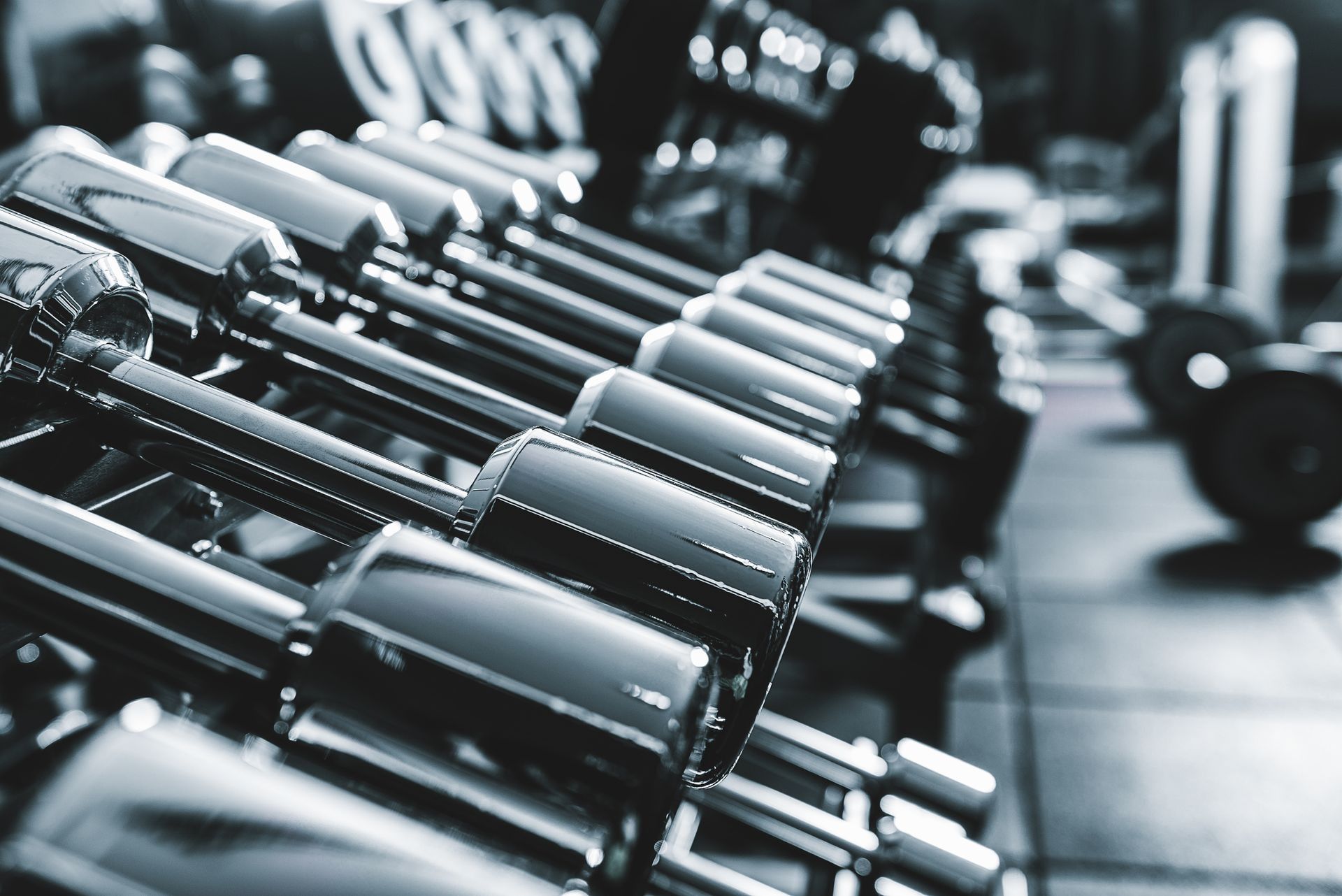 Rows of black dumbbells on a gym rack, shot in monochrome close-up