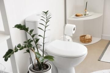 A potted plant is sitting next to a toilet in a bathroom.